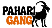 cropped-orange-logo.webp